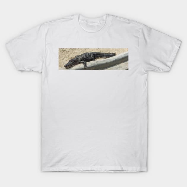 Chilling Alligator T-Shirt by KensLensDesigns